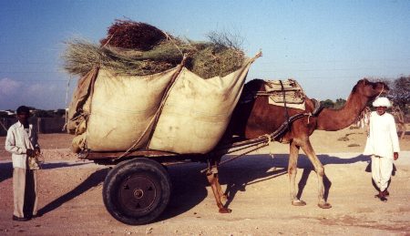 Loaded camel cart