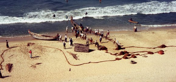 Varkala fishermen pull nets