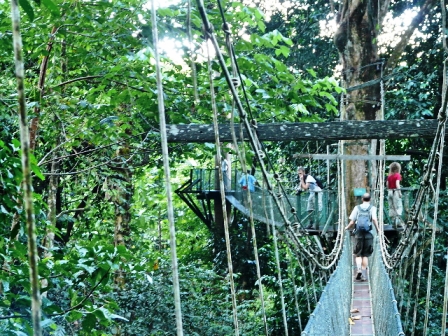 Borneo Gunung Mulu